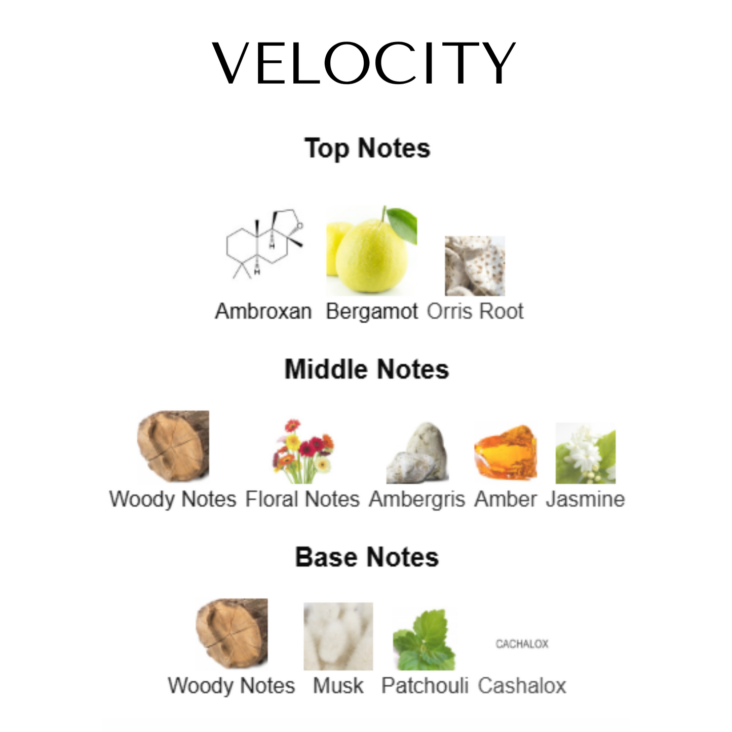 Velocity - Inspired by Office for Men